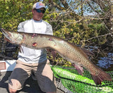 F8 Musky Mag Net/Straight Handle