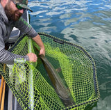 F8 Musky Mag Net/Straight Handle